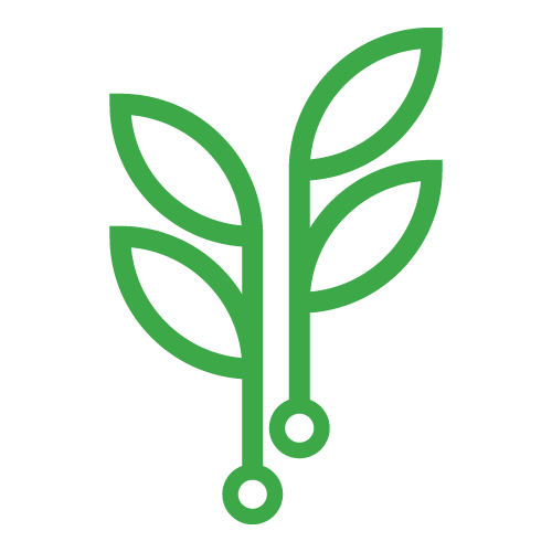 Kratom VS Logo